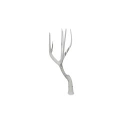 Birch Tree Dead Snow 2